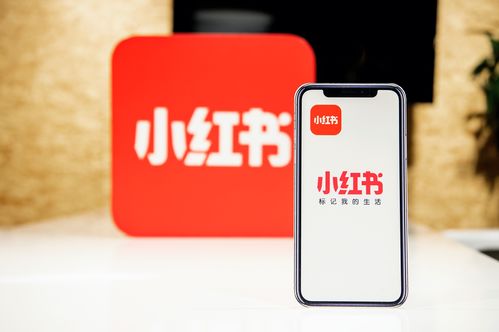 小紅書創(chuàng)作者中心上線，為優(yōu)質創(chuàng)作者帶來專業(yè)成長新機遇