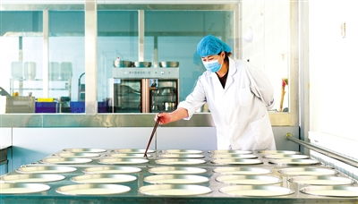 村集體經(jīng)濟(jì)強(qiáng)起來(lái) 村民腰包鼓起來(lái)——以網(wǎng)站建設(shè)為引擎，賦能鄉(xiāng)村振興新篇章